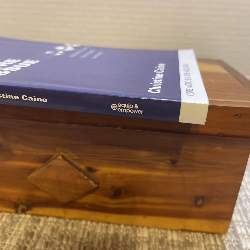 The Core Issue Authentic Living Christian‎ Living Paperback by Christine Caine
